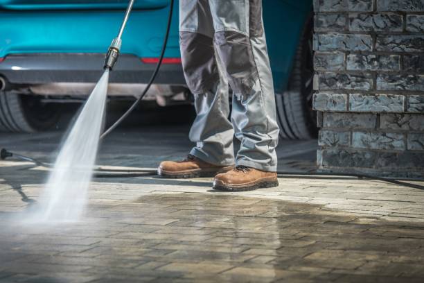 Best Oil Spill Cleanup  in Lacoochee, FL