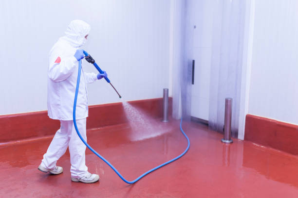Best House Exterior Washing  in Lacoochee, FL
