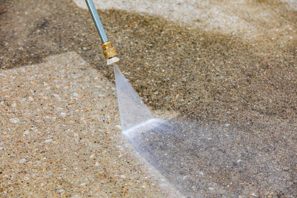Best Sign and Awning Cleaning  in Lacoochee, FL